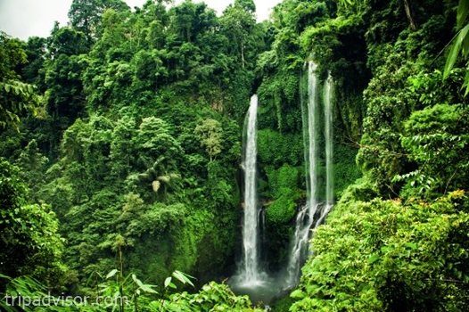 Air Terjun Sekumpu Bali